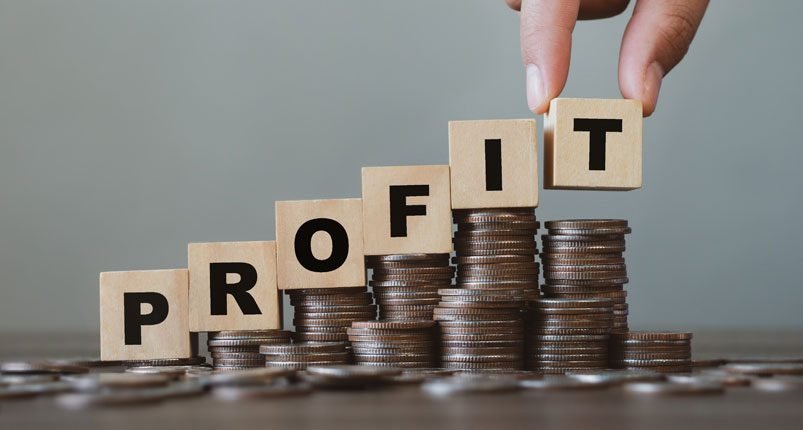 investment-based-profit-sharing-models